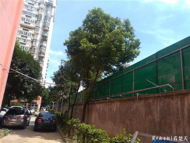 减少噪声扰民这个工地花10万元安装57米的隔音墙