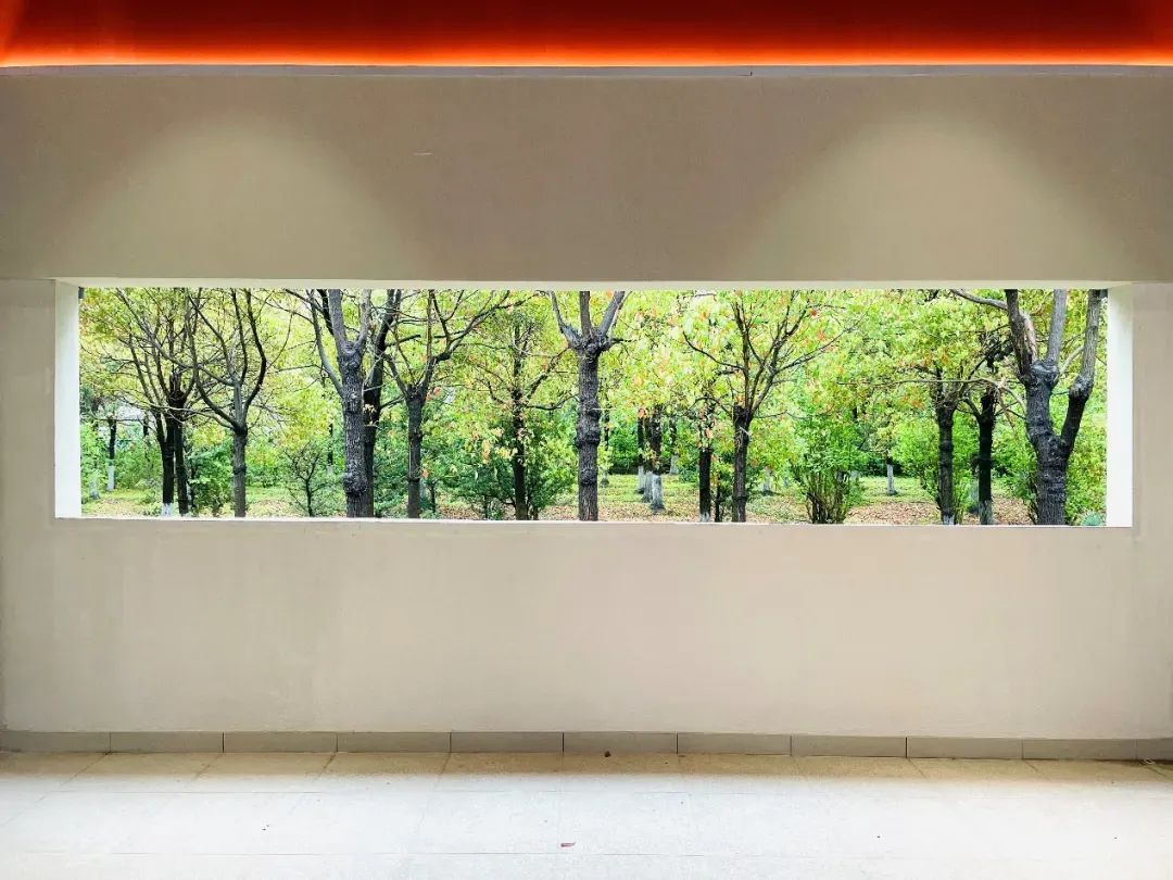 位于苏州河畔又一个家门口的影院建成！(图2)