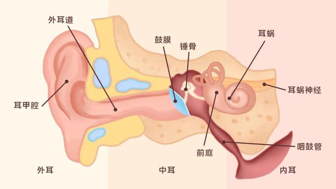 保护听力远离职业性噪声聋(图2)