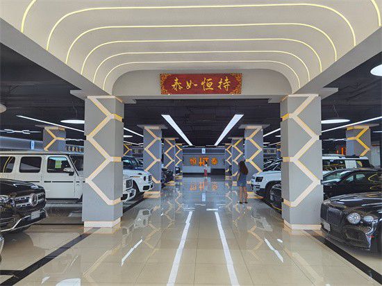 24款丰田海狮定制7座9座蓝牌上河北全省(图10)