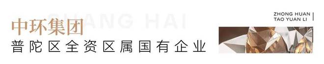 中环桃源里（桃浦中环桃源里）网站丨丨楼盘详情(图2)