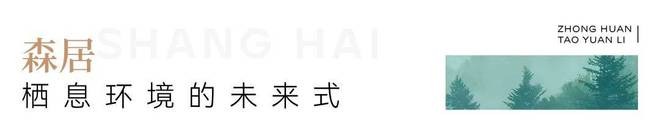 中环桃源里（桃浦中环桃源里）网站丨丨楼盘详情(图11)