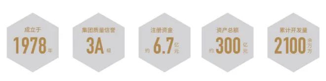 中环桃源里发布（售楼处电话）上海普陀中环桃源里最新资讯(图1)