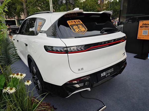 纯电续航最长的混动SUV！岚图FREE318河南地区上市：2199万起(图8)