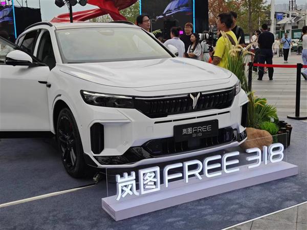 纯电续航最长的混动SUV！岚图FREE318河南地区上市：2199万起(图5)