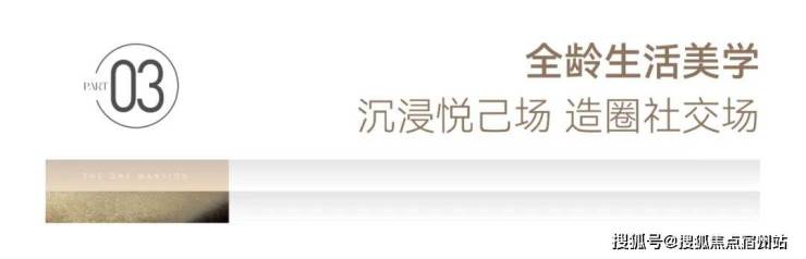 嘉兴南湖「苏嘉玖晟园」精致、高级、有品位。(图30)