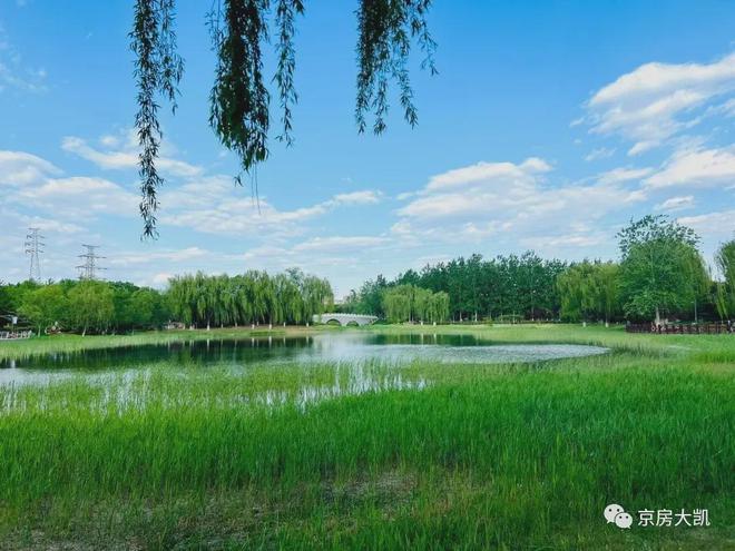 2024热门楼盘：绿城晓月和风售楼处电话→首页网站→楼盘百科(图8)