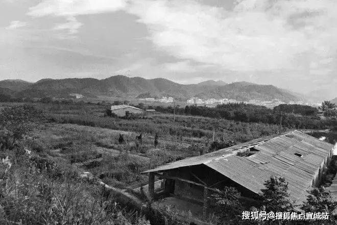 一文读懂上海之窗·未来星光里优缺点!分析一下上海之窗值得买吗？(图4)