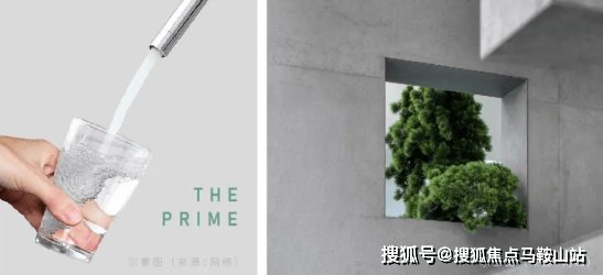 品尊国际上海(品尊国际)首页网站售楼处欢迎您丨楼盘详情(图5)