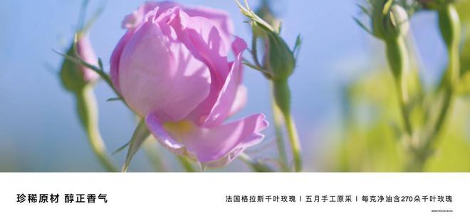 华为发布全景智慧旗舰轿车享界S9引领智慧出行新时代(图6)