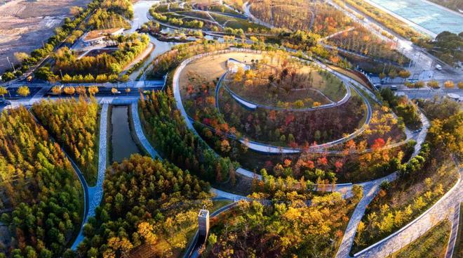 普陀金茂府2024楼盘咨询_普陀金茂府备案价效果图发布(图19)