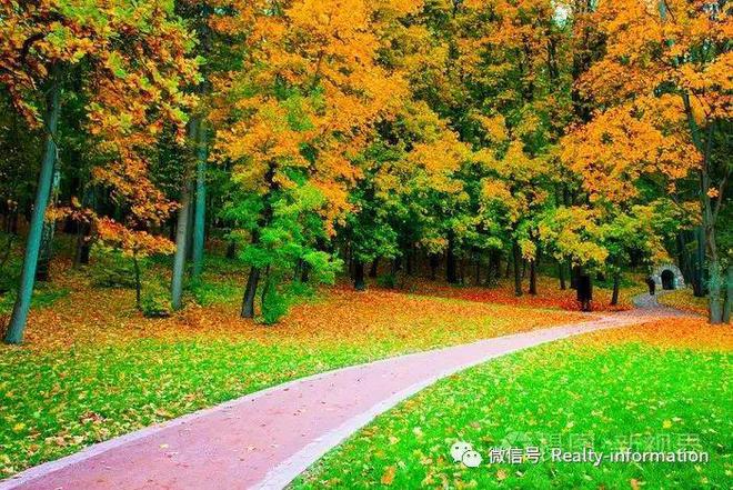 金禧璞瑅()售楼处丨金禧璞瑅欢迎您丨2024最新房价楼盘详情(图12)