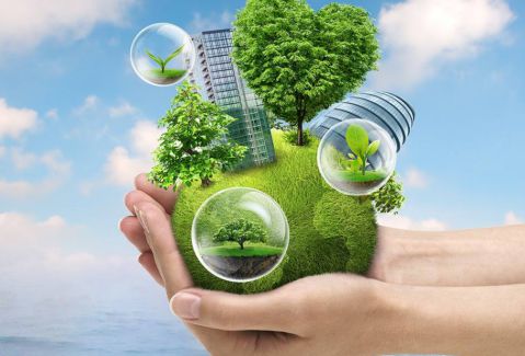 一座南京城8个孔雀城细微之处见品质匠心筑就美好家(图5)