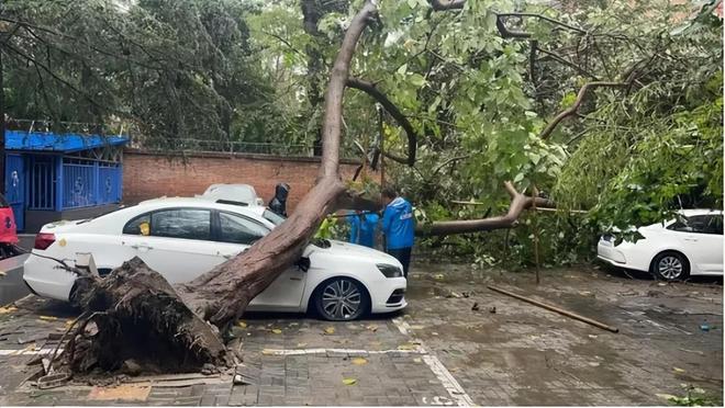 房龄的重要性体现出来了!事实证明老破小再便宜也别买!(图6)