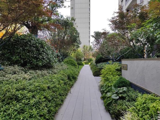 虹桥璀璨领峯售楼处发布虹桥璀璨领峯优缺点楼盘详情(图7)