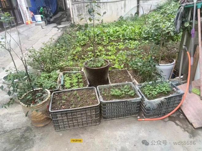 并非迷信：床靠两面墙家人病怏怏啥意思床不宜这两面墙吗？(图4)