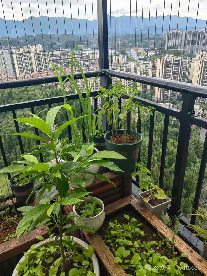 并非迷信：床靠两面墙家人病怏怏啥意思床不宜这两面墙吗？(图2)