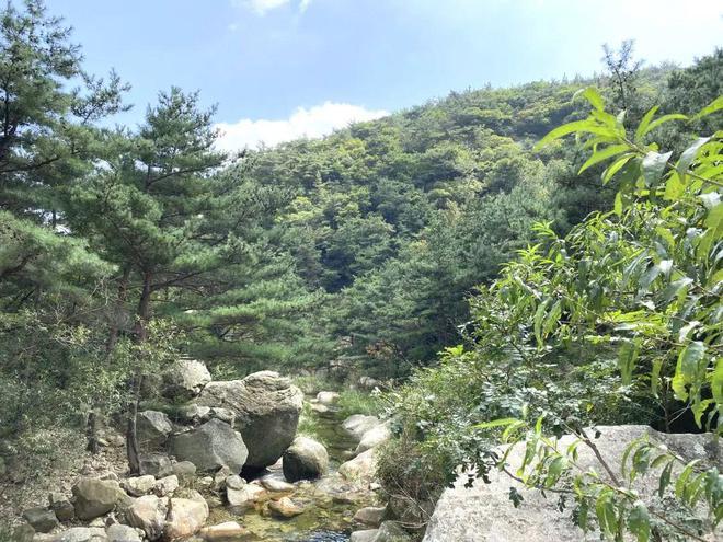 金铭紫宸山售楼处（金铭紫宸山网站）2024最新房价-楼盘百科