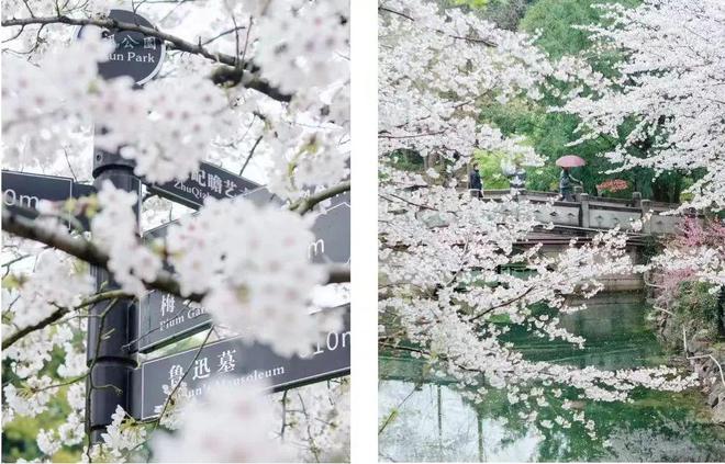 中建虹悦里网站(售楼处)欢迎您-中建虹悦里2024最新动态咨询(图13)