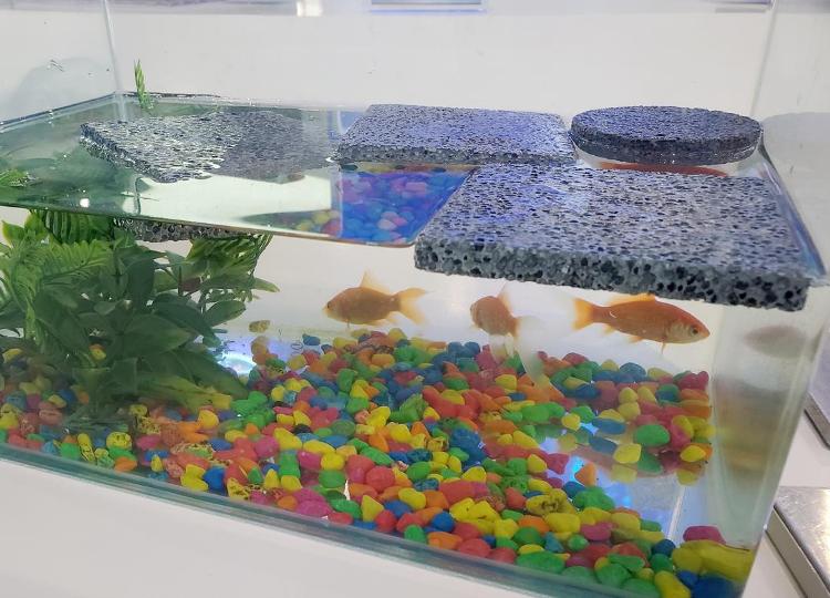 薄如蝉翼的高端铝箔、一体压铸的全铝车身……看邹平铝业的“七十二变”