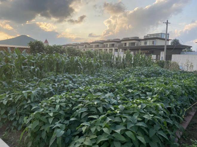 金铭紫宸山（售楼处）-2024新首页-金铭紫宸山最新发布网站(图6)