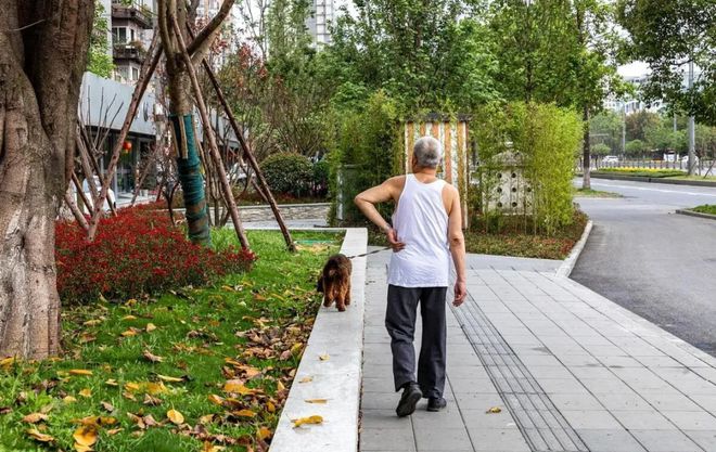 卖掉高层的33楼搬到低楼层老小区后才发现高层是妥妥的智商税(图7)