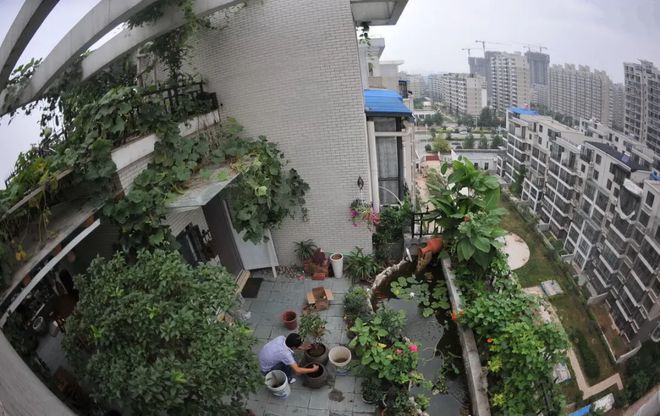 卖掉高层的33楼搬到低楼层老小区后才发现高层是妥妥的智商税(图9)