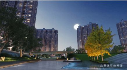 品尊国际(2024售楼处)-品尊国际楼盘评测最新价格户型配套(图21)