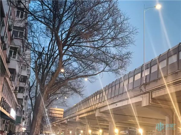 完成8座桥梁28万延长米隔音屏建设！哈市持续加大高架桥周边噪声治理(图2)