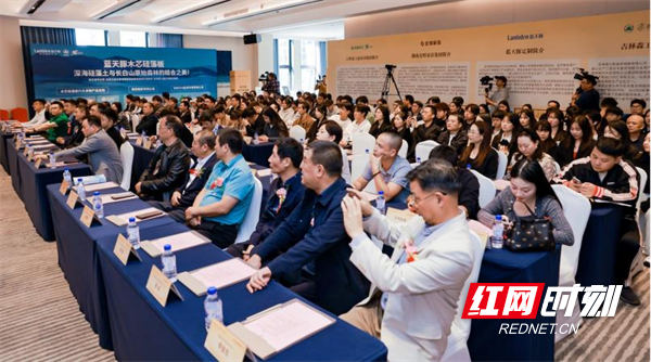 国企民企共铸新质生产力木芯硅藻板有望终结装修污染(图2)