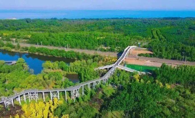 国家重磅部署省市齐放大招!秦皇岛楼市稳了!(图9)