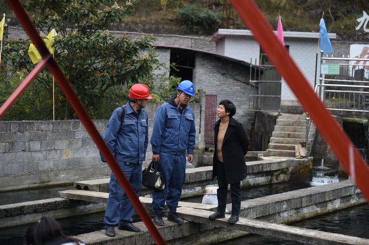 赫章县六曲河镇：可靠电力助大鲵“游出”致富路(图3)