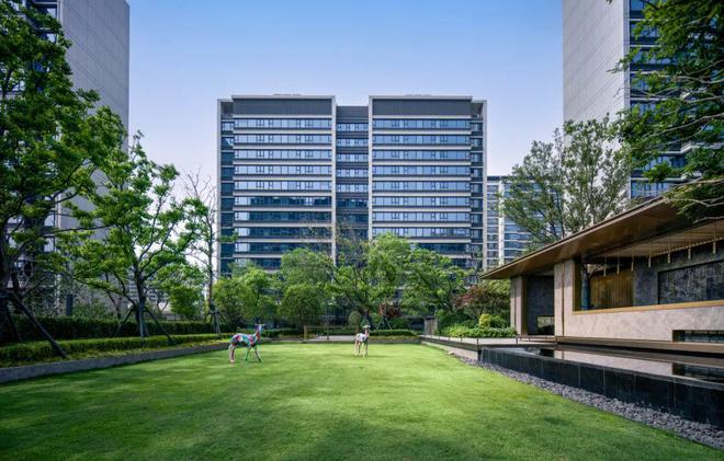 徐州这里上新！实景图来了！(图6)