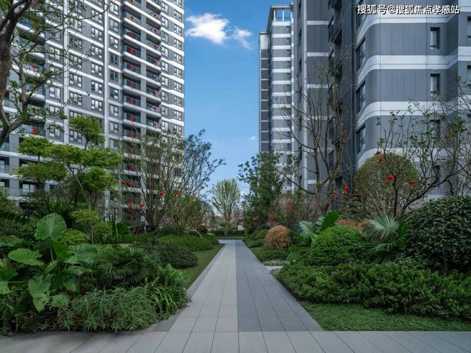 中建玖海云天(网站)-2025中建玖海云天售楼处地址-楼盘详情(图5)