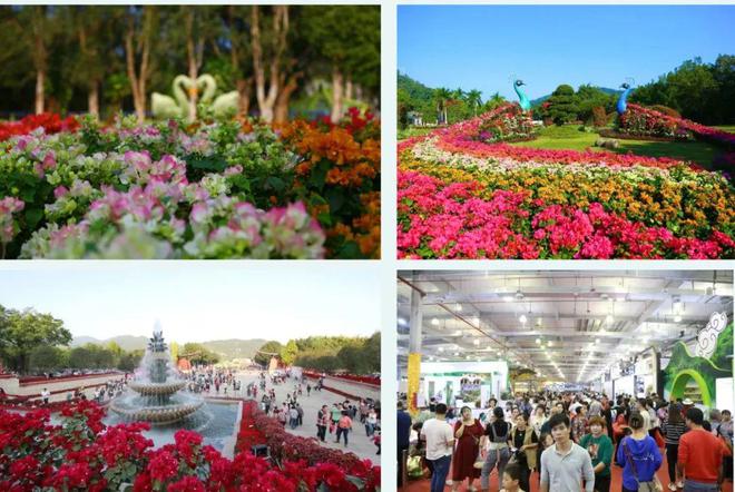 漳州正式官宣！2024年海峡两岸农博会·花博会举办时间定了！规格好高！(图2)