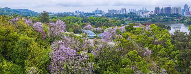 2024『广州城投东园公馆』营销中心电话东园公馆网站欢迎您(图20)