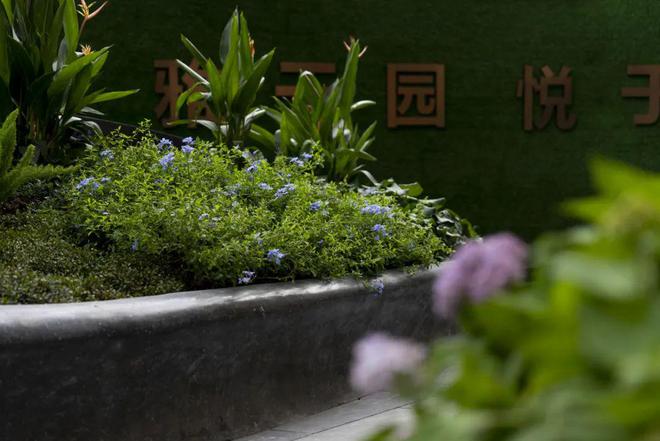 2024『广州城投东园公馆』营销中心电话东园公馆网站欢迎您(图11)