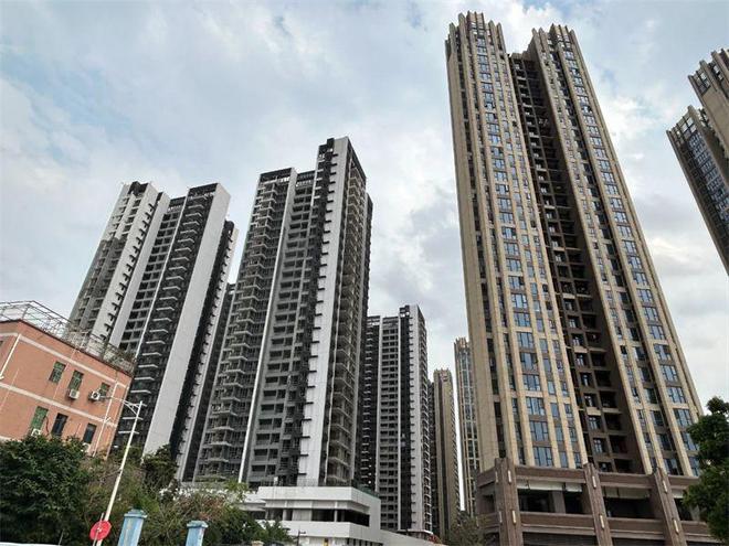 龙岗紫和嘉园【什么价钱能准时交付吗被列入黑名单不能买】(图4)