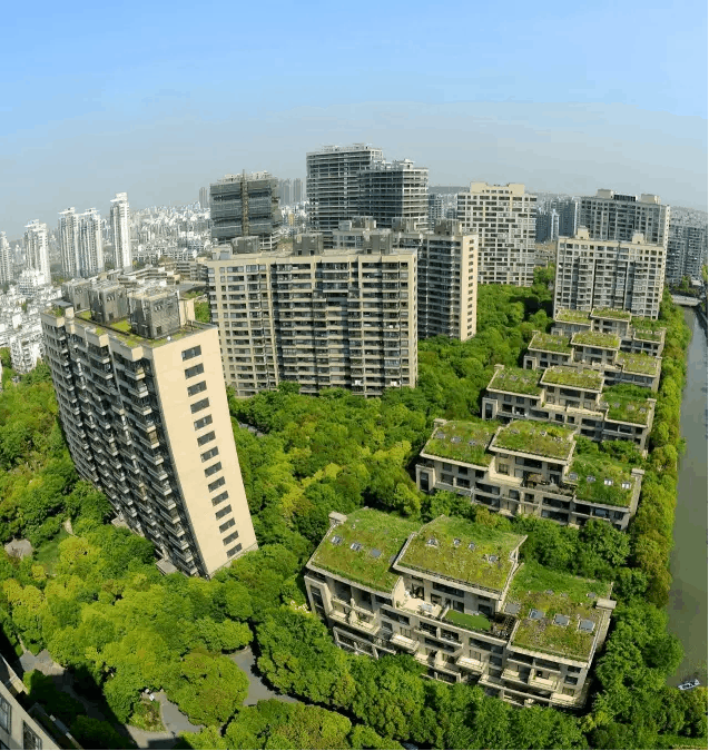 『中鹰黑森林』2025网站-中鹰黑森林详情-上海房天下(图2)