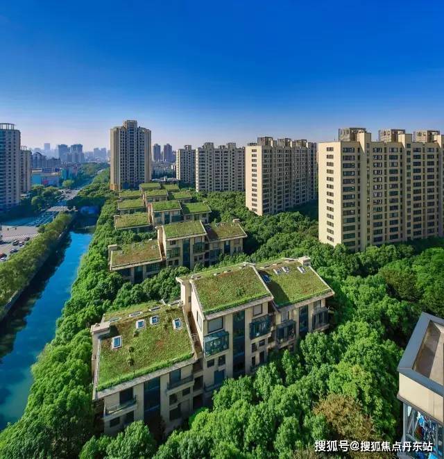 『中鹰黑森林』2025网站-中鹰黑森林详情-上海房天下(图3)