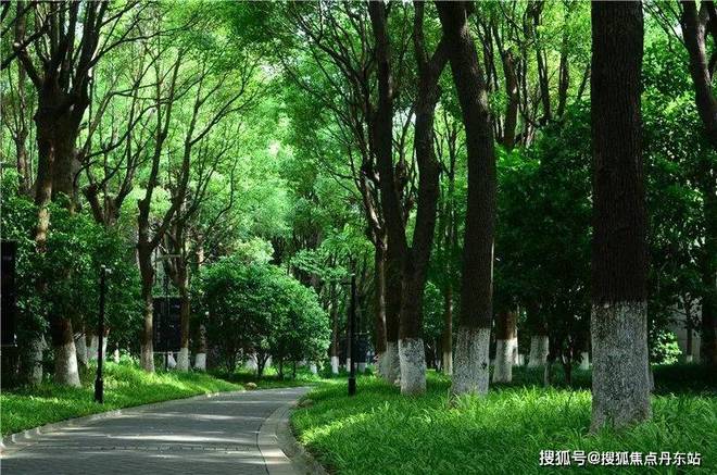 『中鹰黑森林』2025网站-中鹰黑森林详情-上海房天下(图6)