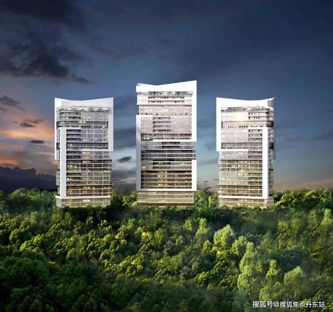 『中鹰黑森林』2025网站-中鹰黑森林详情-上海房天下(图4)