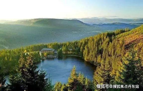 『中鹰黑森林』2025网站-中鹰黑森林详情-上海房天下(图5)