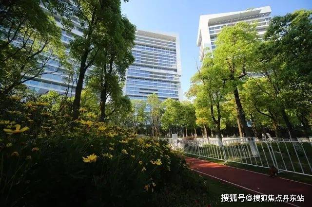 『中鹰黑森林』2025网站-中鹰黑森林详情-上海房天下(图7)