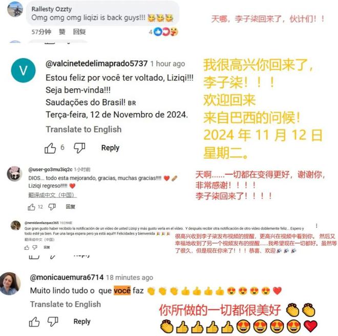 田园赛道开辟者李子柒回归原来她拿的是种田文女主的剧本(图5)