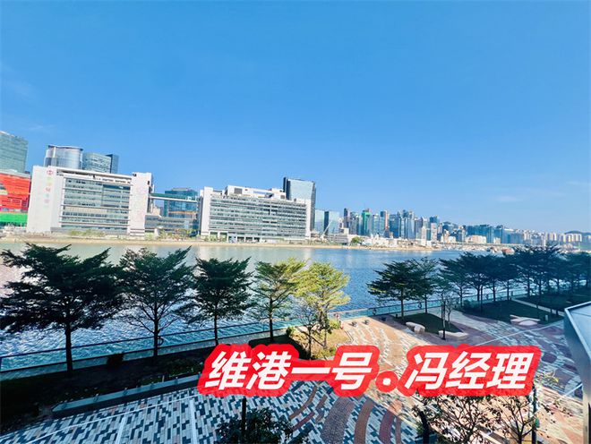 香港启德维港一号房价多少钱一呎价格多少一平方值不值得买