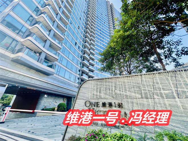 香港启德维港一号房价多少钱一呎价格多少一平方值不值得买(图3)