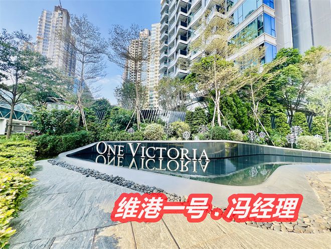 香港启德维港一号房价多少钱一呎价格多少一平方值不值得买(图2)