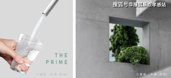 品尊国际网站品尊国际售楼处发布：品质生活新高度(图21)