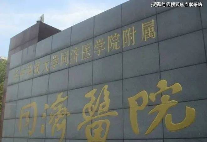 品尊国际网站品尊国际售楼处发布：品质生活新高度(图29)